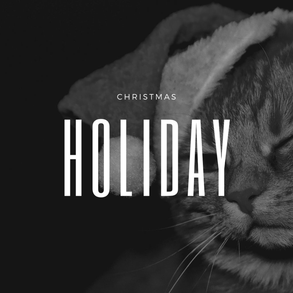 Holiday Clothing, Gifts, and Decor: Christmas